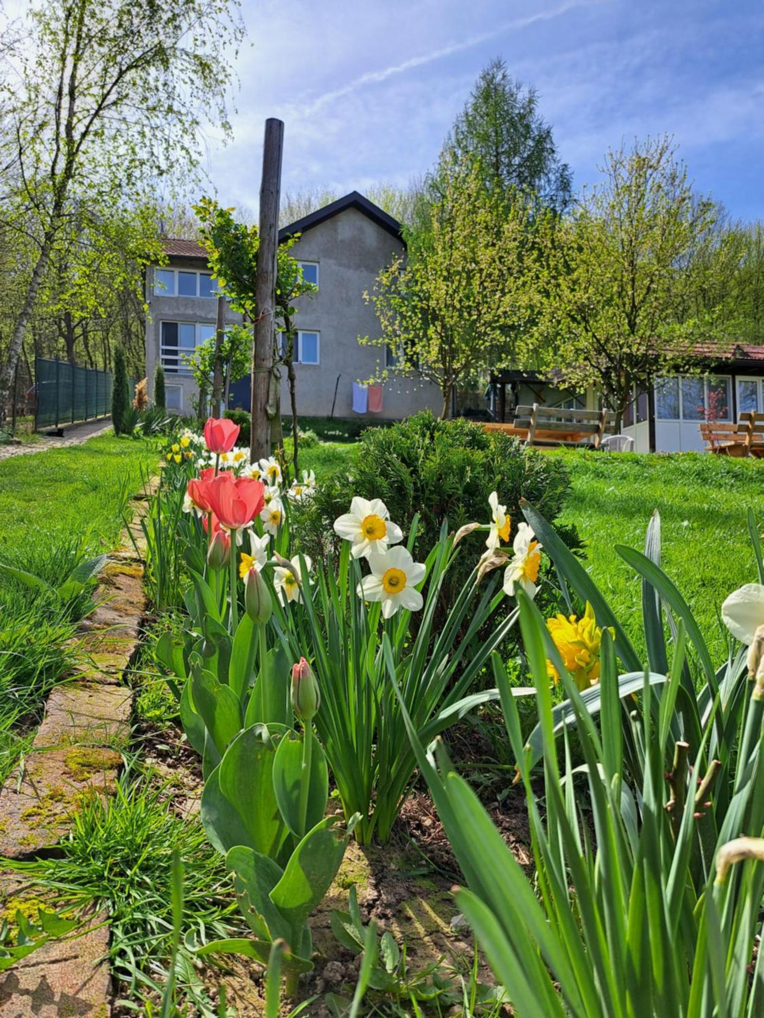 Mala Farma Nani Villa Visoko Eksteriør billede